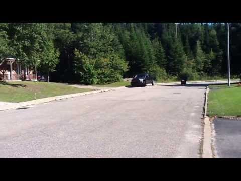 PGO G-Max 50 cc ti-pet