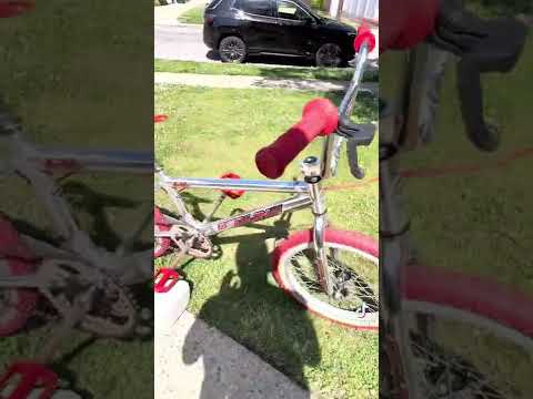 1996 Redline Proline