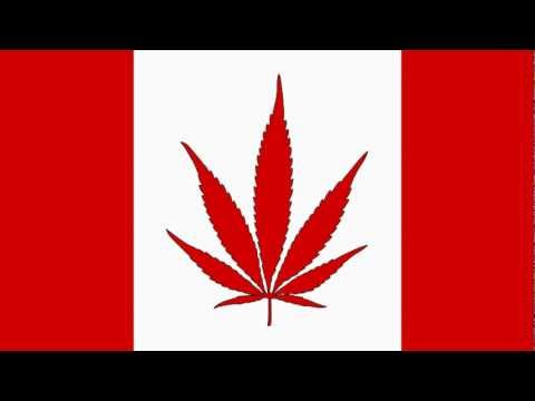 Megalodon & Conscious Pilot - Gangsta Shit(DZ Remix)