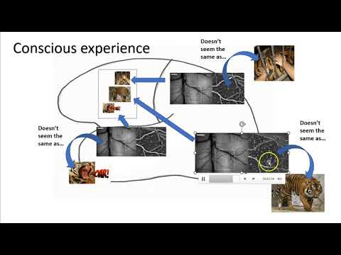 Consciousness... its place in our mentality