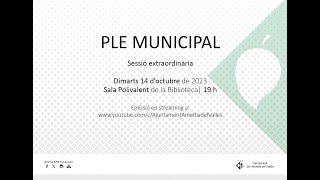 PLE EXTRAORDINARI 14/11/2023