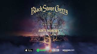 Black Stone Cherry - Ain&#39;t Nobody - Family Tree (Official Audio)