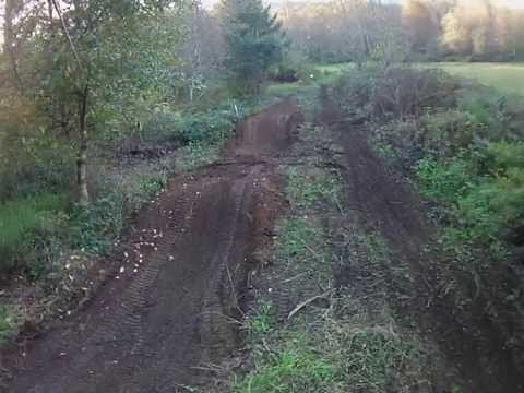 Wild-Sham Rhythm Section