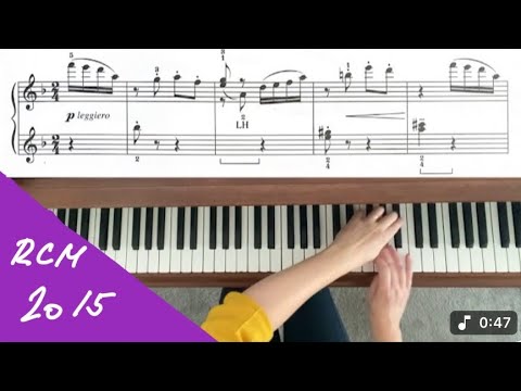 The Butterfly, Op. 28, No. 12 by Samuel Maykapar