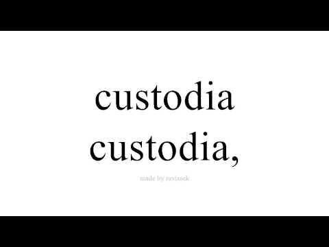 Disce Spanish   custodia,