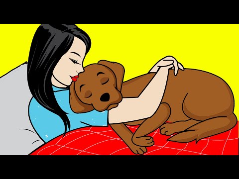 10 Ways Dogs Express Love According to Science