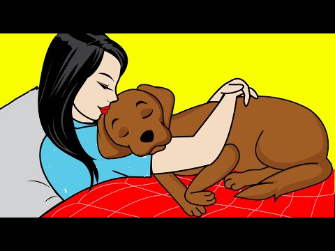 10 Scientific Ways To Know If Your Dog Loves You