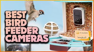 EPIC Feathered Frenzy! Top Bird Feeder Cameras You NEED!