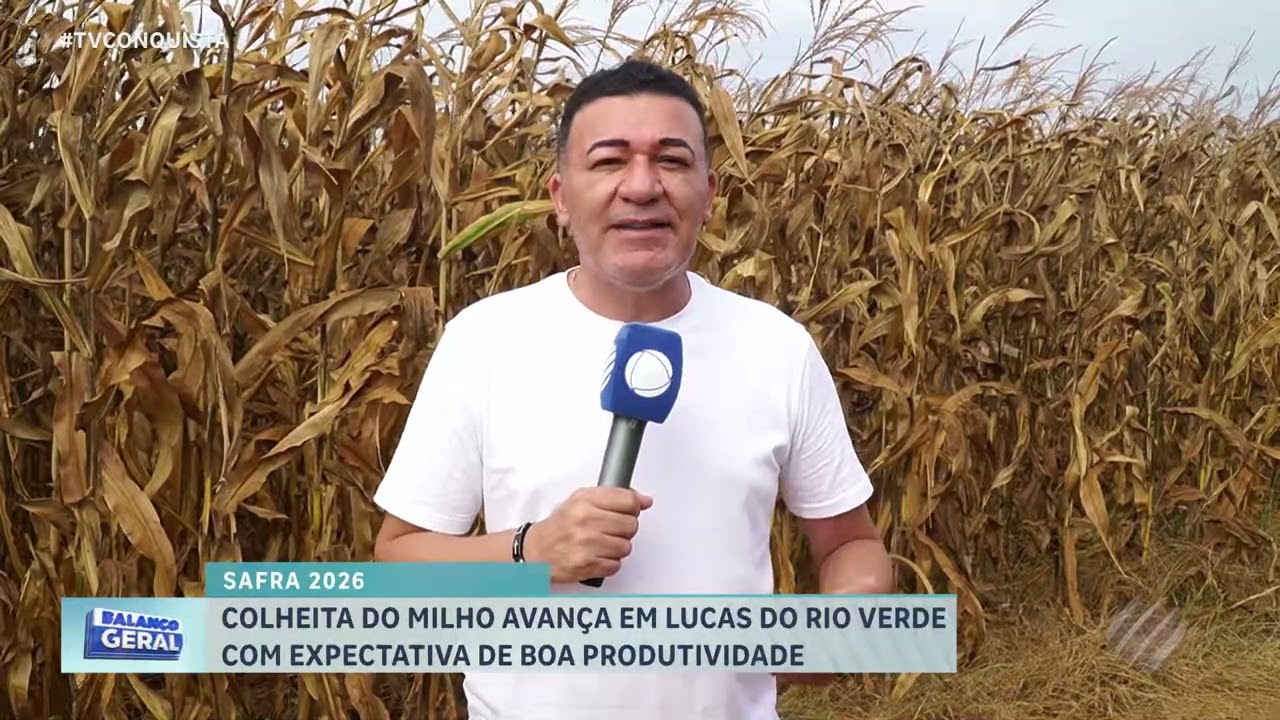 Colheita do milho avança em Lucas do Rio Verde e anima produtores rurais