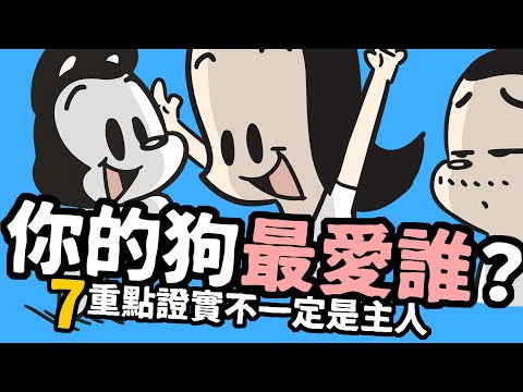 狗狗喜歡的顏色