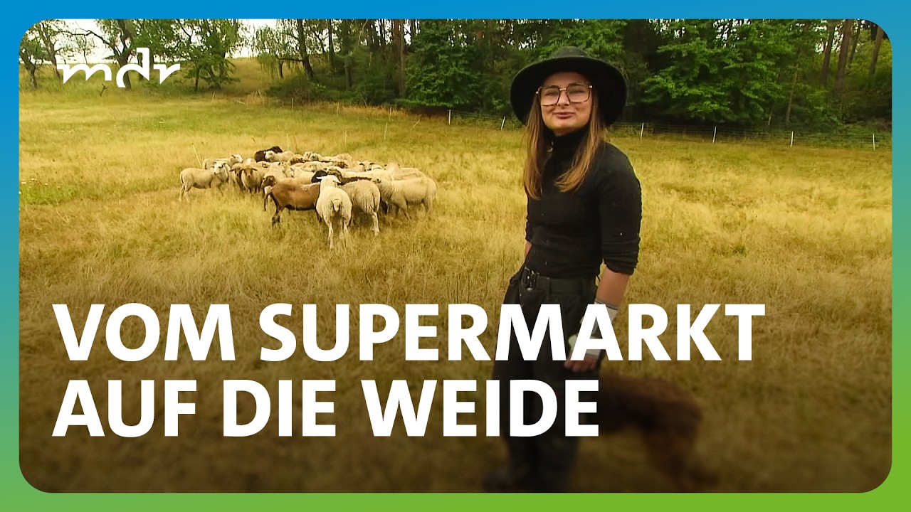 Quereinsteigerin findet Traumberuf als Schäferin | MDR um 4 | MDR