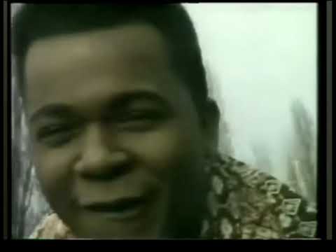 cest trop tard djenga clip