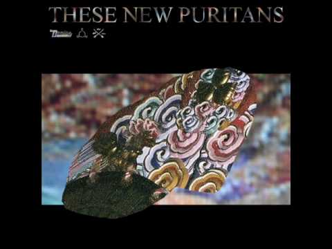 These New Puritans - Hologram (SALEM Remix)