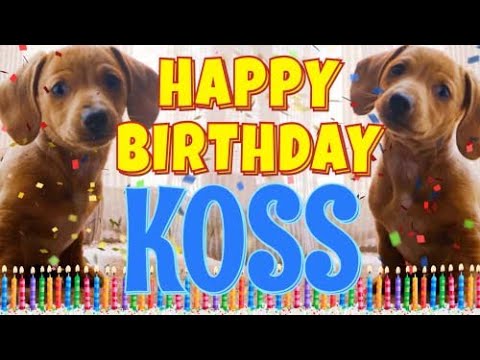Happy Birthday Koss! ( Funny Talking Dogs ) What Is Free On My Birthday