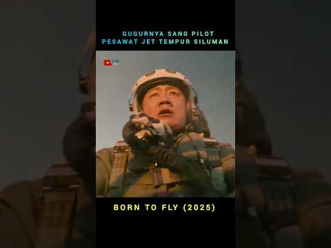 Gugurnya sang pilot pesawat jet tempur siluman #cuplikanfilm
