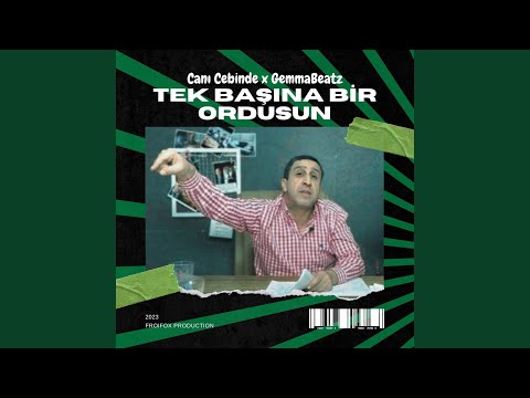 Tek Başına Bir Ordusun