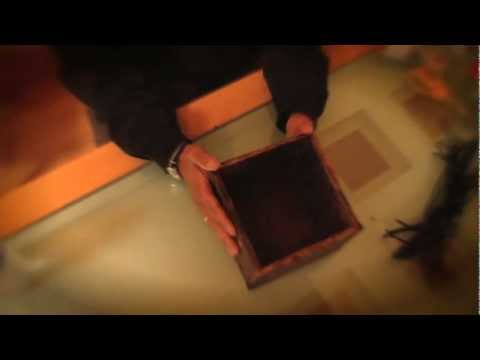 Breaking Branches Pictures video.