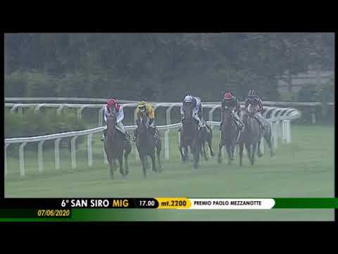 2020.06.07 Premio Paolo Mezzanotte (ITA) - Light My Fire