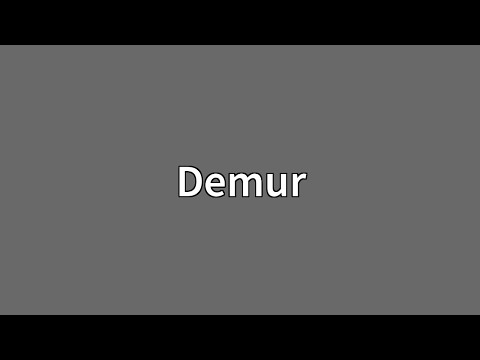 Demur Meaning