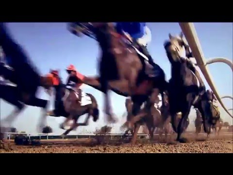 DWC 2016 Promo Video