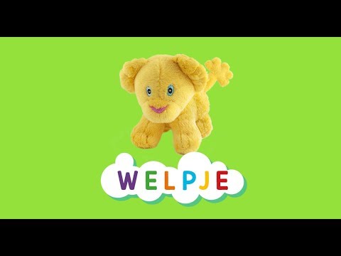 Zoek je mee? Welpje van Casper en Emma is zoek..