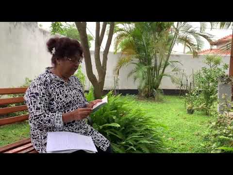 Dhevehi anhenun thi ben vee goiy