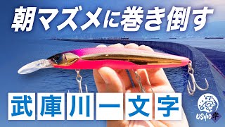 【ショアジギング】秋の大阪湾はミノーで青物を狙え！武庫一文字 / USHIO岸 / 金井光輝 上西彰伸