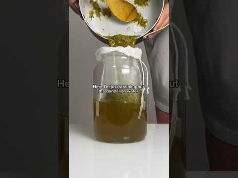 Dandelion Wine
