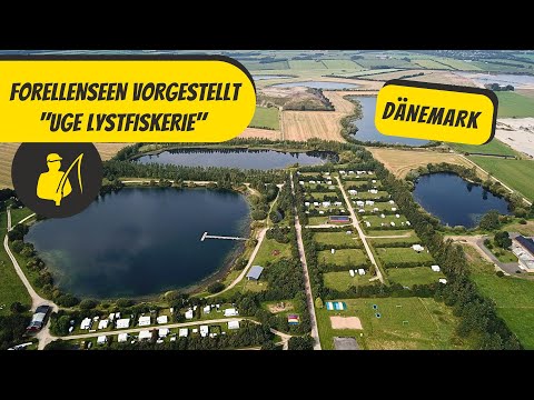 Trout lakes featured: Uge Lystfiskerie, Denmark