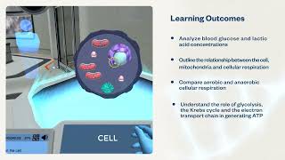 Cellular Respiration (Principles): Measure energy consumption during exercise | Virtual Lab