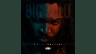 Download lagu Nkabi Nesgubhu mp3