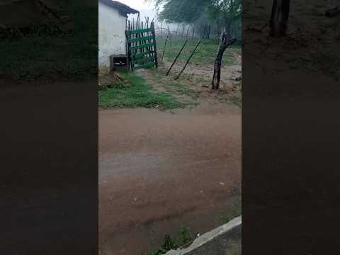 🇧🇷 SÃO RAFAEL,RIO GRANDE DO NORTE, 22.03.2026 #sitio #vidanaroça #fazenda #vidanaroça #cachorro