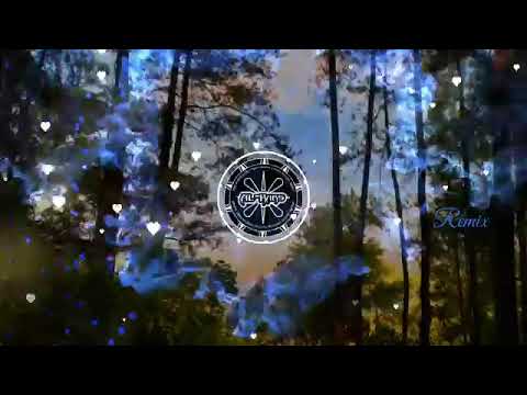 Don't Watch Me Cry ( Remix versi 2 ) Alpi bourigan & Senix Remix