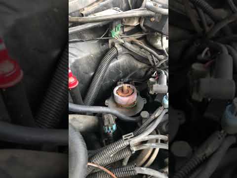 CAPRICE DISTRIBUTOR CAP & ROTOR UPDATE