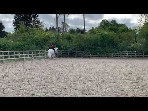 Elizabeth Horne and Cillbhrid Kate BE90 dressage test 96