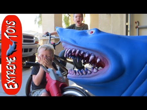 Wild Shark comes in the Front Door and chases the Boys!  Insane Toy Shark Attack Video