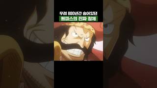 원피스) 무려 800년간 숨어있던 원피스의 진짜 정체 #원피스