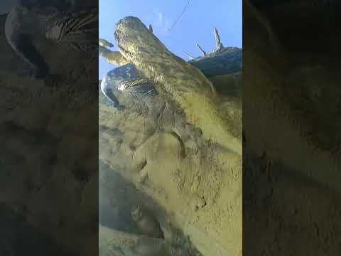 Brys caves 🐅🐯 Jim Corbett very good place 👍👏