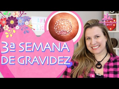 3rd Week of Pregnancy | Symptoms, Your Body, Baby Size, Implantation | 1st Trimester of Pregnancy