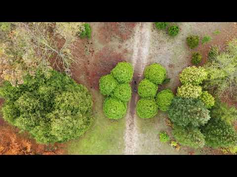 Kecskeméti Zöld Folyosó - /Feliratok nélküli verzió/ - 4k drón film