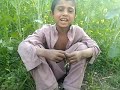 Jadehn Monhte Kafan Hondo Sarmad Sindhi Sindhi Hit Song
