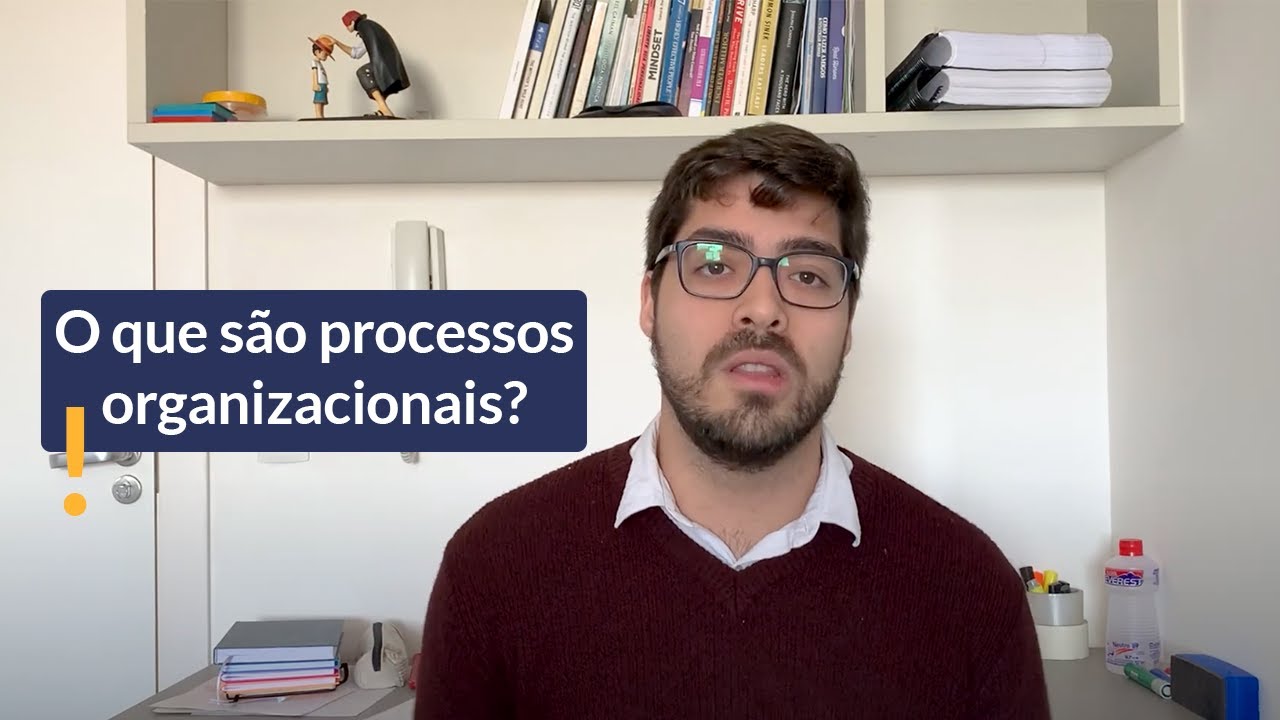 O que são processos organizacionais? | Renato Diniz