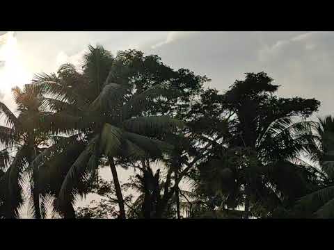 Time lapse in Redmi note 9 pro max