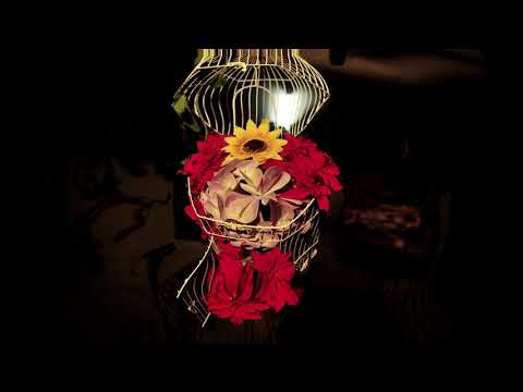 O Fazendeiro - Freedoom and Flower