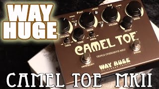 Video thumbnail for Stompbox Saturday No.78 : Way Huge Camel Toe mkII (Overdrive/Distortion Pedal Demo & Review) by Sean Pierce Johnson