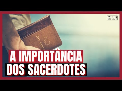 Leviticus 8 Study: THE IMPORTANCE OF PRIESTS (Bible Explained)