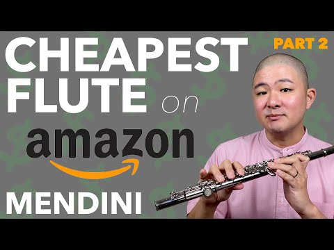 Mendini Flute Review & Unboxing [Budget Flute from Amazon Tested by Pro Flutist]