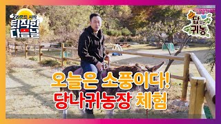 당나귀 농장 체험, 생각지도 못한 당나귀 농장 주 수입원은?