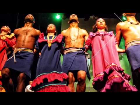 Convenezuela - 40 años sembrando identidad