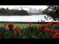 Pan over red flowers with sydney opera house and ...